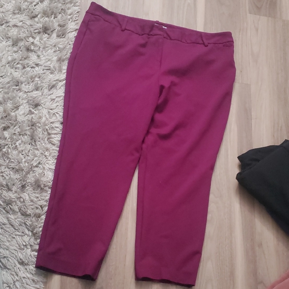 Women's Pants